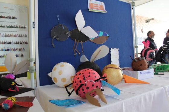 IMG_3402 IMG_3402