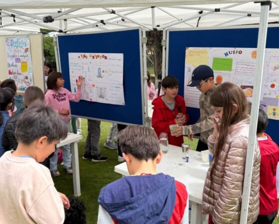 WhatsApp Image 2025-11-19 at 1.29.51 PM (4)